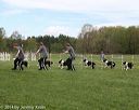 20140517-co-0019