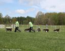 20140517-co-0027