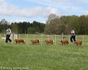 20140517-co-0032