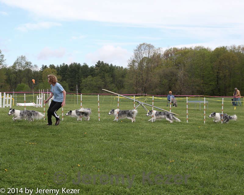 20140517-co-0020.jpg