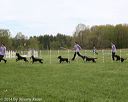 20140517-co-0007