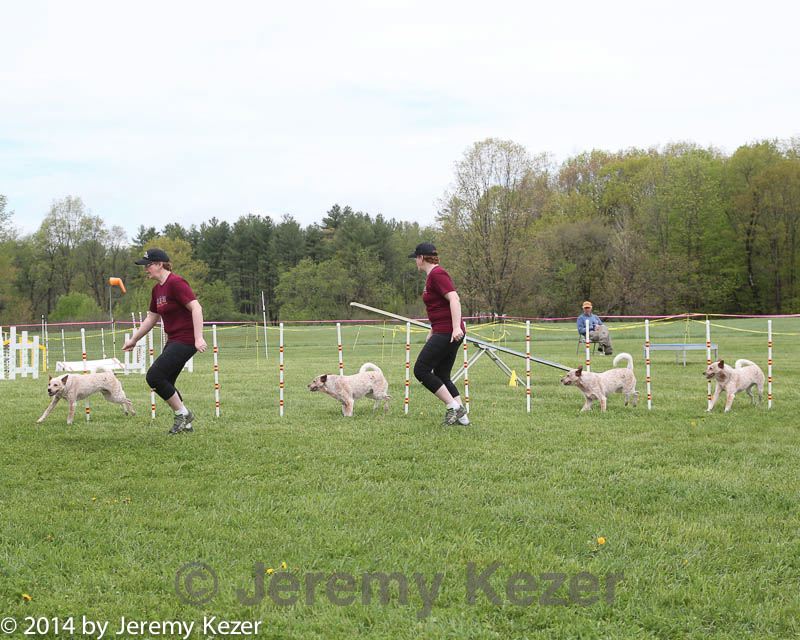 20140517-co-0006.jpg