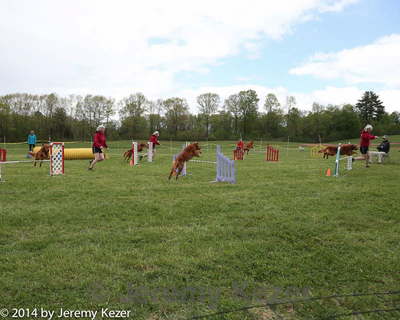 20140518-co-0044.jpg