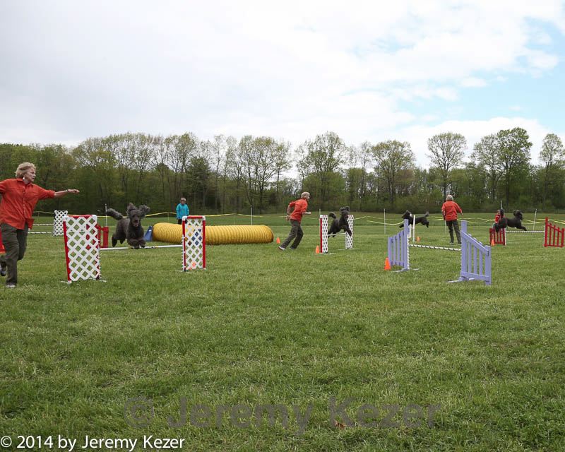 20140518-co-0046.jpg