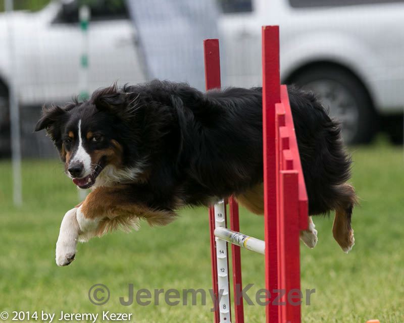 20140518-0891.jpg