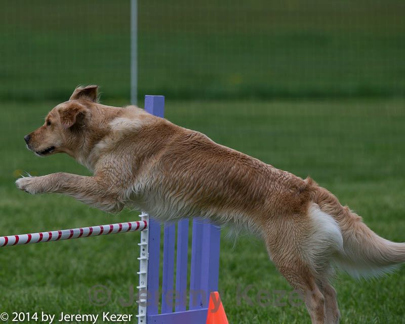 20140518-0842.jpg