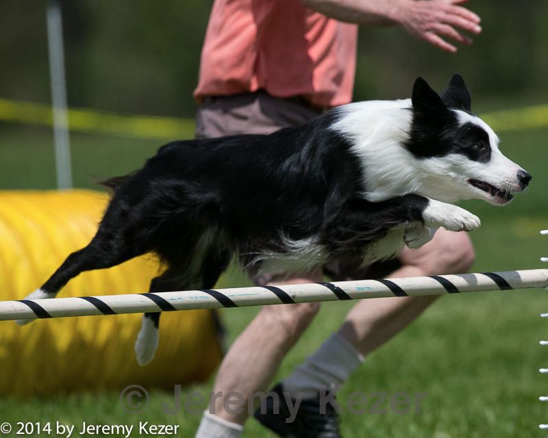20140518-0655.jpg