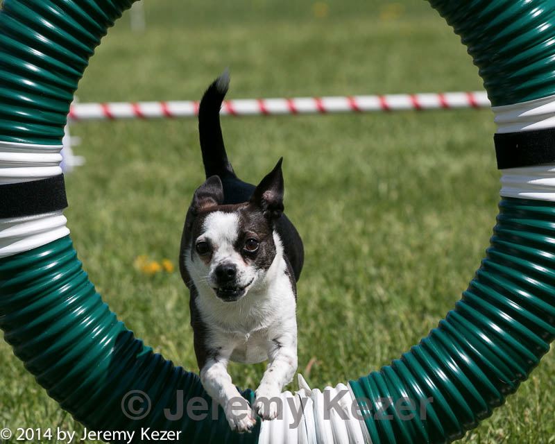20140518-0467.jpg