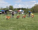 20140518-co-0025