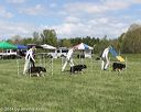 20140518-co-0030