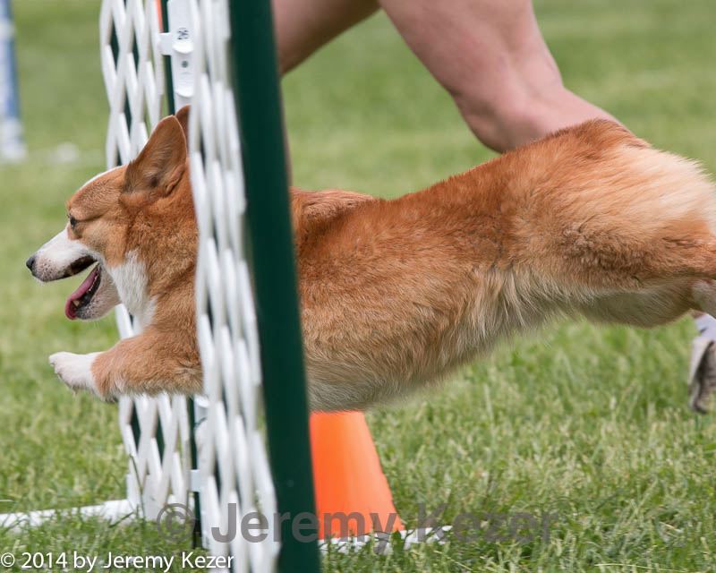 20140518-0623.jpg