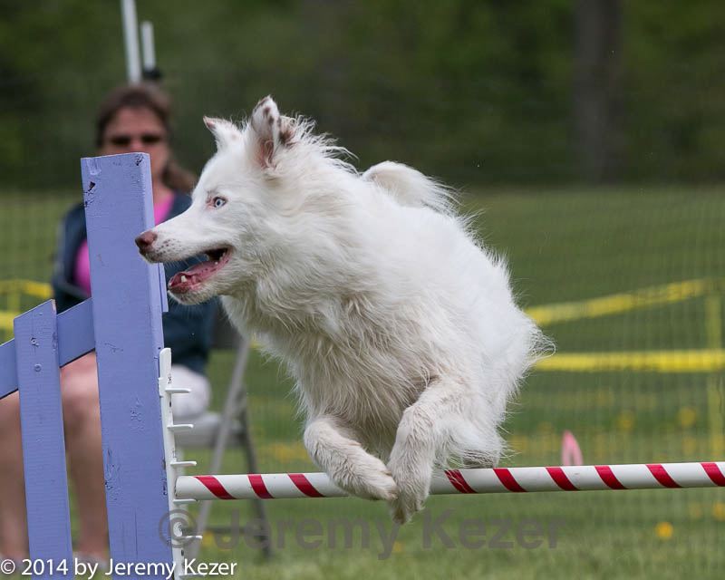 20140518-0599.jpg