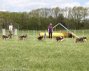 20140518-co-0042