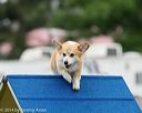 20140613-0305