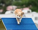 20140613-0306
