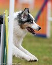 20140613-0243