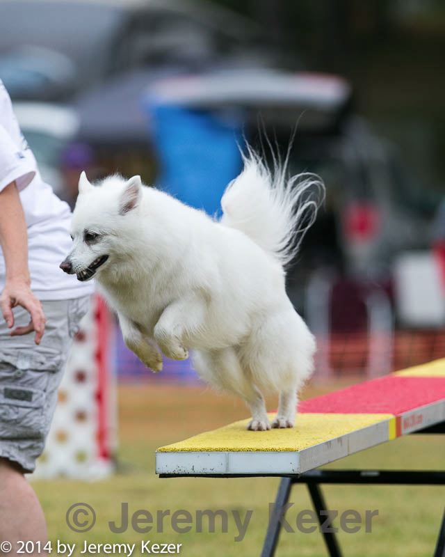 20140613-0182.jpg