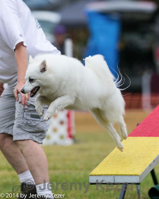 20140613-0183.jpg