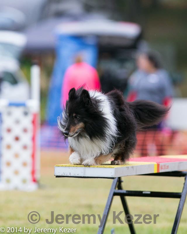 20140613-0193.jpg