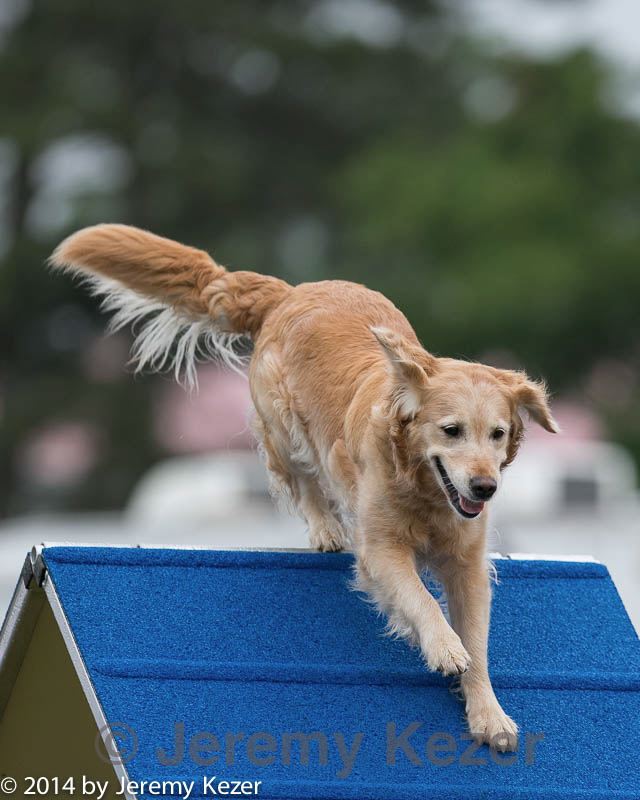 20140613-0113.jpg