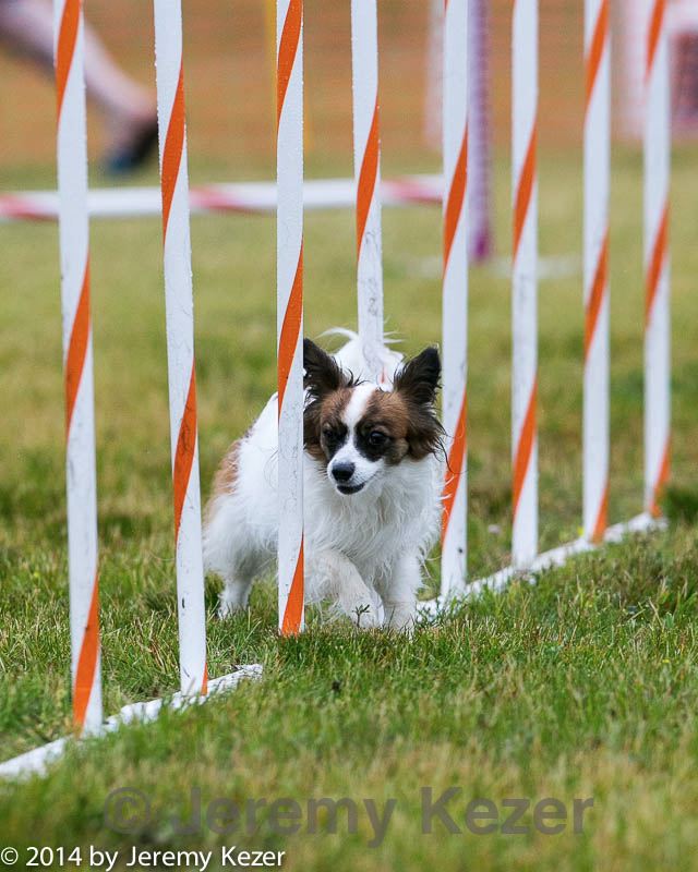 20140613-1327.jpg