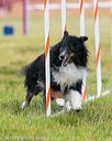 20140613-1056