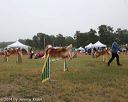 20140613-comp-0003