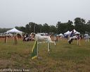 20140613-comp-0006