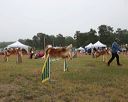 20140613-comp-0019