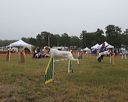20140613-comp-0022