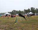 20140613-comp-0025