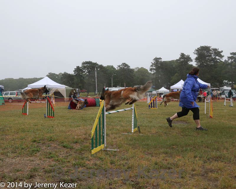 20140613-comp-0008.jpg