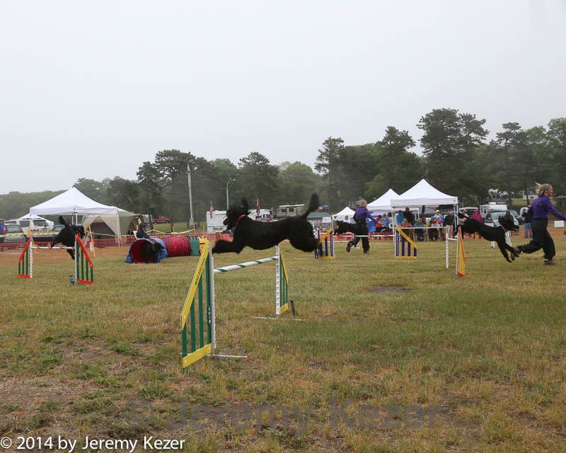 20140613-comp-0010.jpg