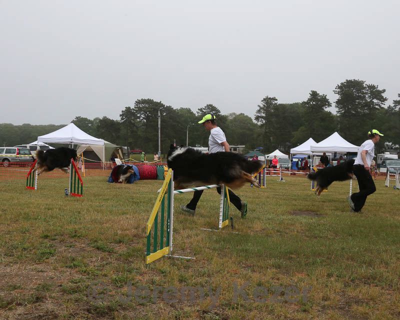 20140613-comp-0021.jpg