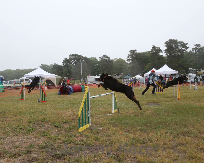 20140613-comp-0025.jpg