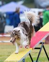 20140613-0461