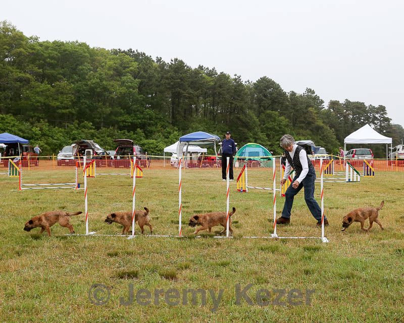 20140613-comp-0016.jpg