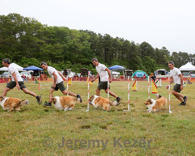 20140613-comp-0008.jpg