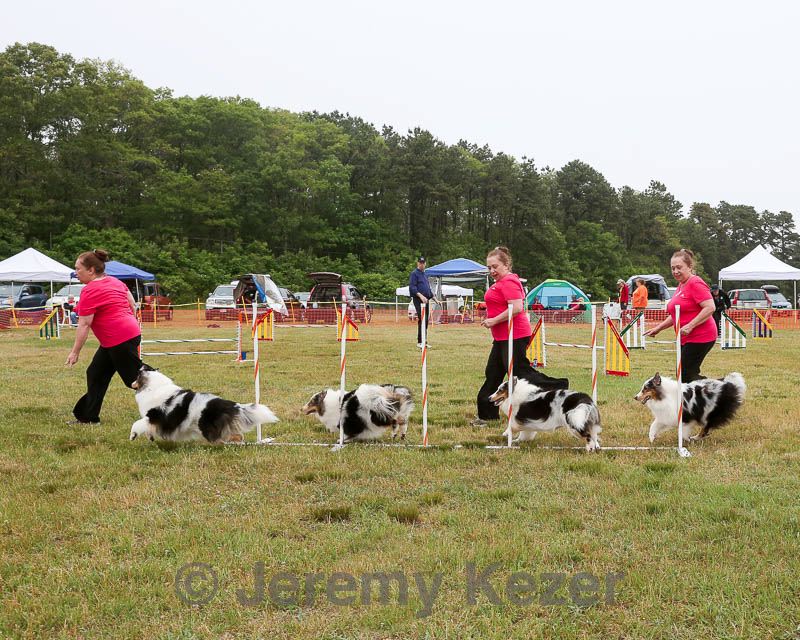 20140613-comp-0010.jpg