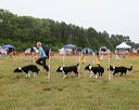 20140613-comp-0005