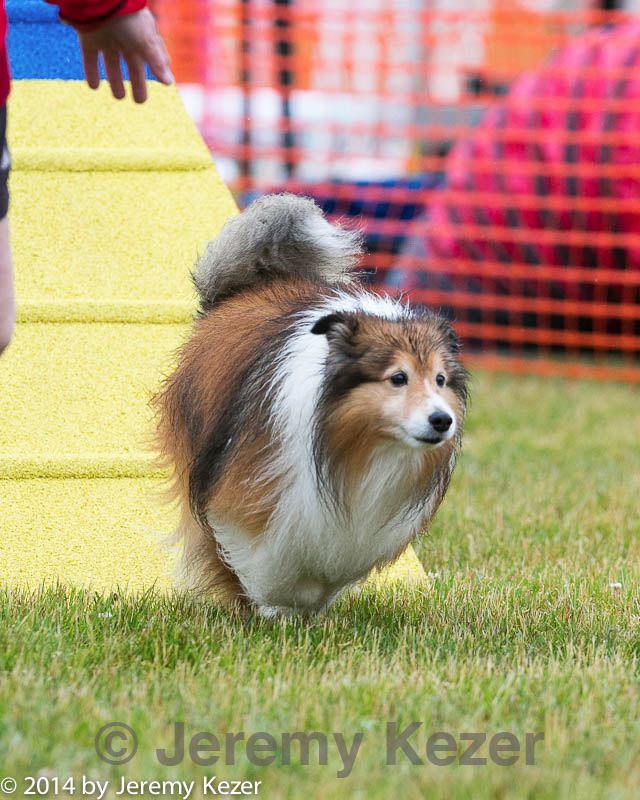 20140613-0410.jpg