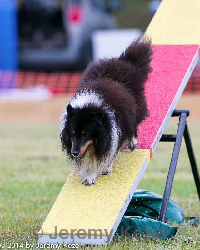 20140613-0385.jpg