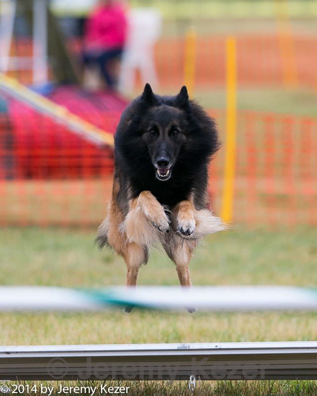 20140613-0582.jpg