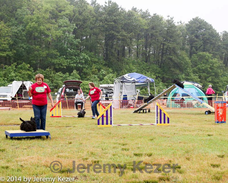 20140614-comp-0001.jpg