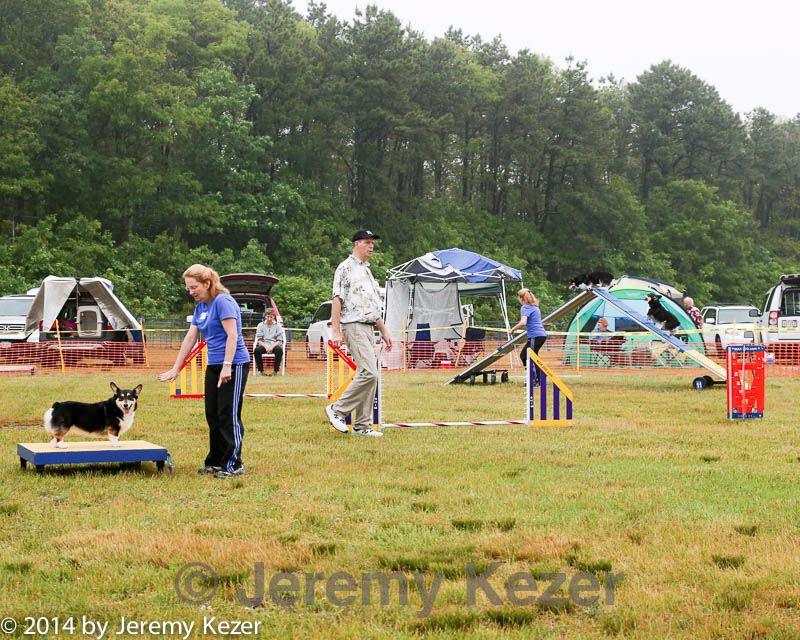 20140614-comp-0003.jpg