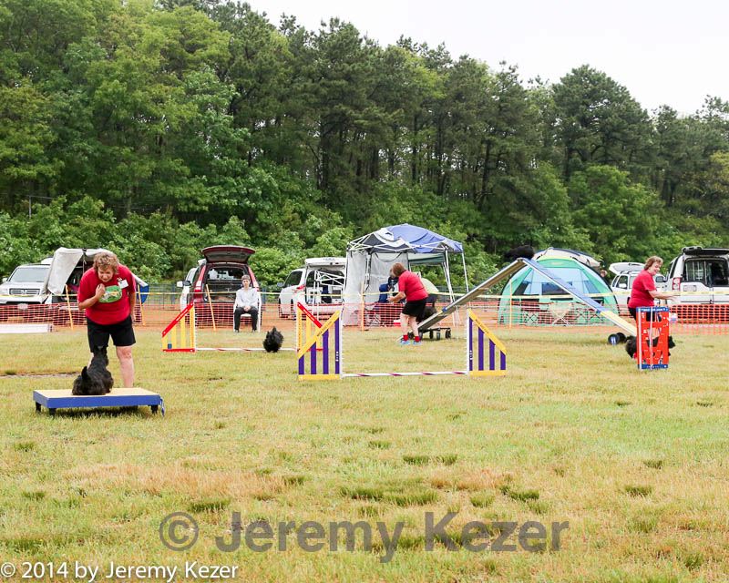 20140614-comp-0021.jpg