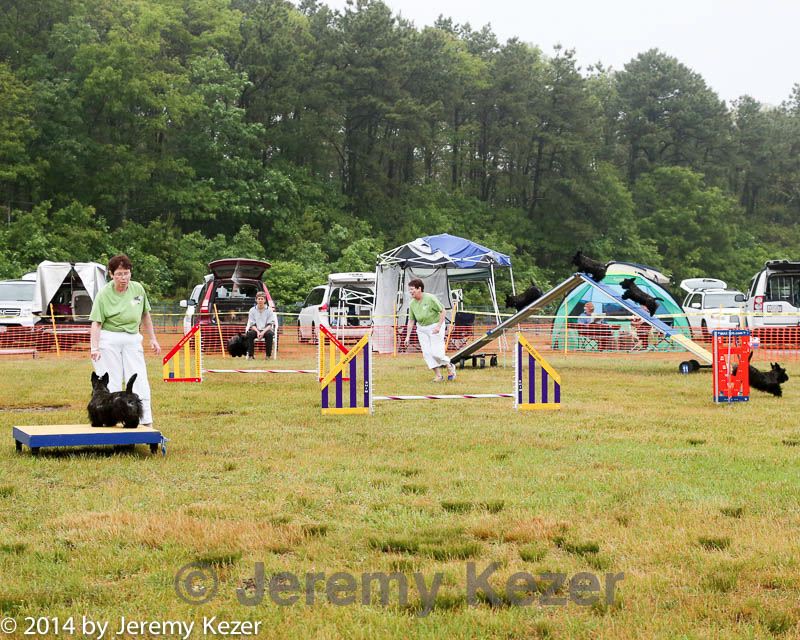 20140614-comp-0004.jpg