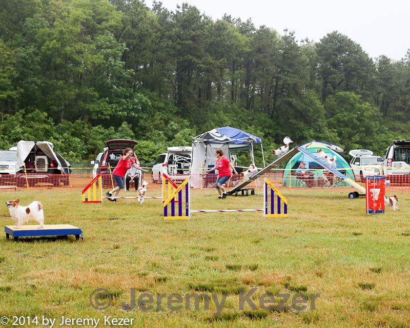 20140614-comp-0005.jpg