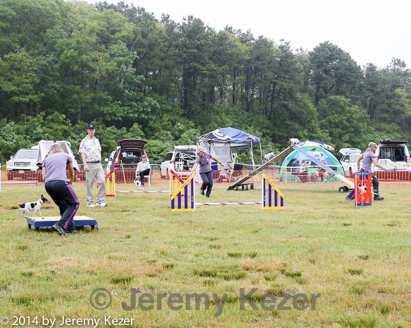 20140614-comp-0009.jpg