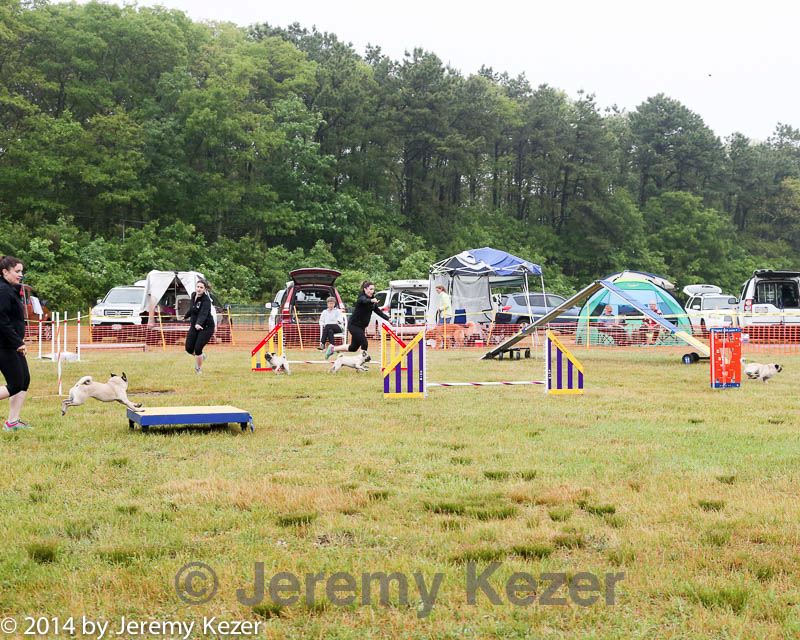 20140614-comp-0014.jpg